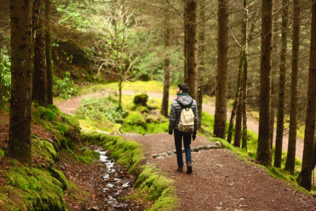 person walking through woodland